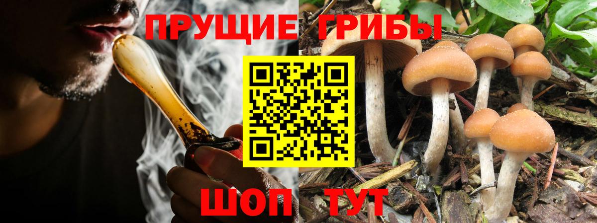 Псилоцибиновые грибы Magic Shrooms  Псилоцибиновые грибы мицелий  где найти   Гатчина  Вход с VPN 