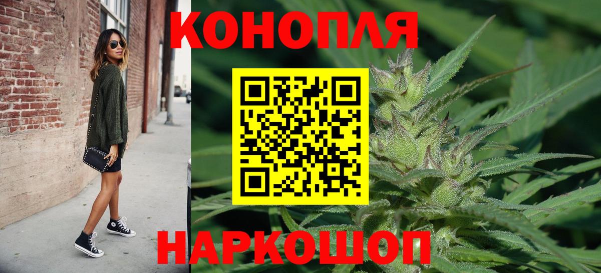 Конопля семена Гатчина